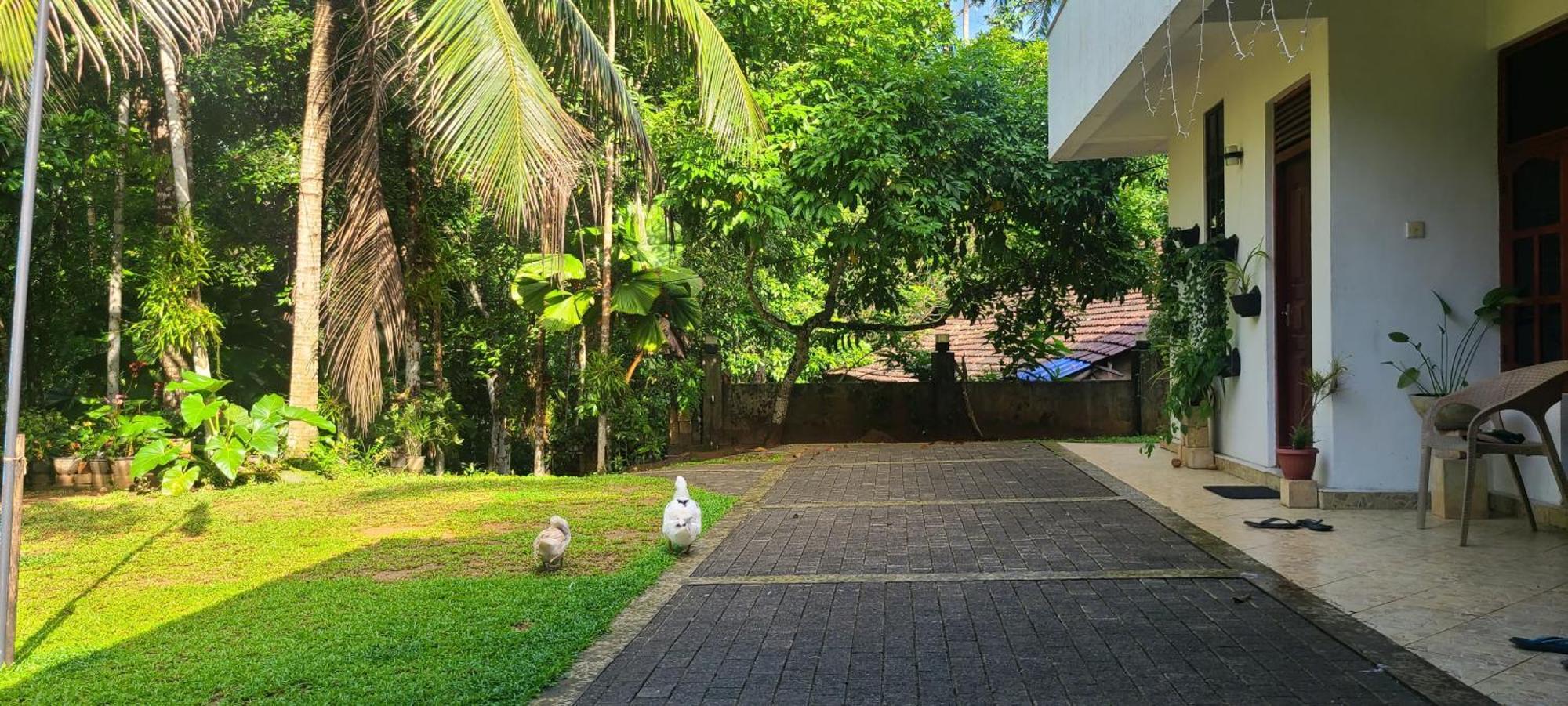 'Kolamba Gedara' Green Apartment Ruwanwella Exterior foto